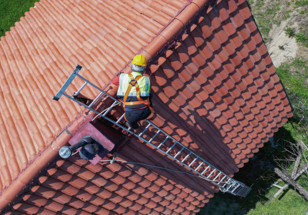  Webster, FL Roofing Service Pros